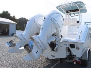 Gamefish 25 Photo 6