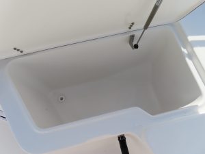 Triton 225 Photo 11
