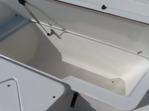 Triton 225 Photo 12