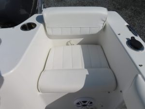 Triton 225 Photo 32