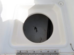 Triton 225 Photo 33