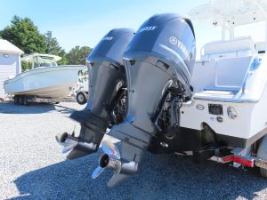 Gamefish 30 Photo 6