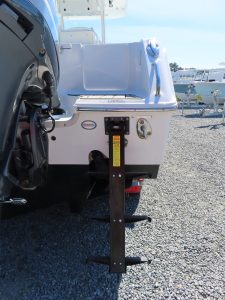 Gamefish 30 Photo 8