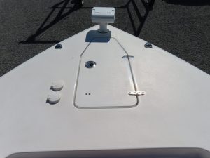 Gamefish 30 Photo 17