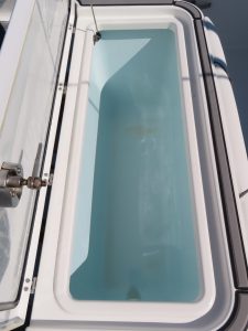 Gamefish 30 Photo 43