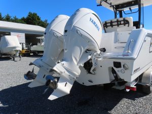 Gamefish 25 Photo 6