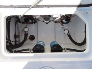 Gamefish 25 Photo 48
